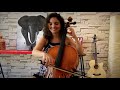 Killing Me Softly [Cello Cover by Vesislava]