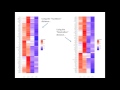 Drawing and Interpreting Heatmaps