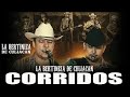 La Bertiniza De Culiacan Ft. Novillos De La Sierra- Puros Corridos Para Pistear- Guitarras Rancheras