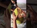 Jack fruit cutting in mama 🏠#jackfruit