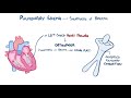 Pulmonary Edema - causes, symptoms, diagnosis, treatment, pathology