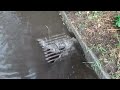 I Found A Drain And Drained A Flooded Street During A Storm