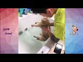 Cat's Reaction To Bathing-Why Cats Hate To Bathe? | Funny Pets