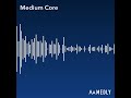Medium Core (Original Song)