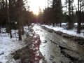 mud and dirty skidder trail