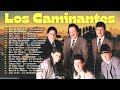 LOS CAMINANTES 35 GRANDES ÉXITOS ROMÁNTICOS - LOS CAMINANTES SUS MEJORES CANCIONES - OLDEST CLASSIC