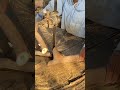 Sawmill operation | Raw Wood Cutting