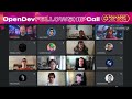 OpenDev Core Polkadot Call - July 2024