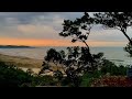 Piano relaxation. Bird chirping. With views of sawarna beach and forest || cinematic