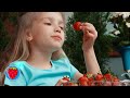 Let's Learn How to Draw Fruits Together | Draw, Paint and Learn Tips for Toddlers & Kids