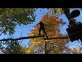 Treetop Trekking - extreme workout - Bimbrook Conservation Area