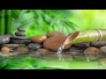 Relaxing Music, Stress Relief Music, Meditation, Spa, Sleep, Zen, Calming Music, Study,Yoga,soothing