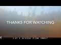 Alaska Trail Cam Video. August 16, 2020