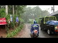 Walk In The Rain | Heavy Rain Accompanied by Wind and Lightning in Village Life | Rain Sounds