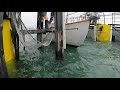Seawings gets a bottom clean