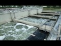 Wastewater: Where does it go?