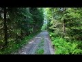 Forest walk 4K | Follow the sound of river #videowalks