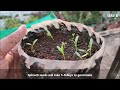 Top 9 Fast Growing Vegetables | SEED TO HARVEST IN 30 DAYS