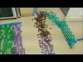 Dominos+1 and Ethan domino contest entry