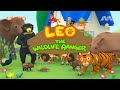 Leo Travels With Wild Animals To Find Their Homes |1 Hour | Leo the Wildlife Ranger |@mediacorpokto