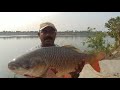 Unbelievable fishing|Fisherman Catching Big Rohu fishes in river|Unique fishing
