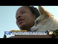 Woman confronts neighbor who has her service dog