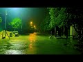 Rain Sounds   Relaxing Sounds for Insomnia Symptoms & Sleeping Disorders