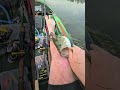 Top Water BASS BLOWUP!!!! #bass #fishing #catchandrelease #outdoors #kayakfishing