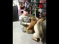 Happy dogs dad returns from deployment.Seen on CNN