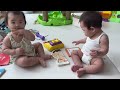 쌍둥이 싸움 / Twin babies Fighting