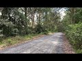 Nature Sounds from Ourimbah State Forest | Nature Sounds for sleeping