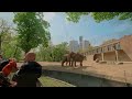 Zoologischer Garten Berlin + Aquarium vlog - full walktrough in 4k with ASMR 360 Soundscape.