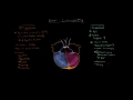 Dilated cardiomyopathy: Pathophysiology and diagnosis | NCLEX-RN | Khan Academy