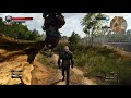 The Witcher 3 - Strong-horse Surprise