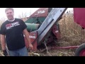 Picking Bloody Butcher Corn with a Massey 175+3 row Superpicker