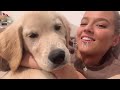 [PUPPY VLOG] DAY IN THE LIFE of my Golden Retriever! + Puppy Meal Prep 🥺