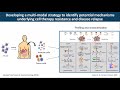 Penetrating Solid Tumors with CAR Immune Cells