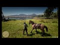 TIGER STRIPED BAY MUSTANG - Red Dead Redemption 2 Story Mode