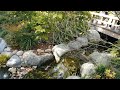 The Japanese Friendship Garden in Balboa Park, San Diego. Cherry Blossoms. March 2024.