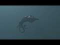 Octopus swimming underwater Blender test