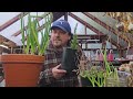 Is Rosemary A Perennial? - Garden Quickie Episode 181