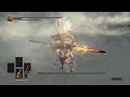 DS3 Nameless King W claymore