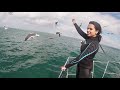 Incredible Shark cage diving, Gansbaai, Cape Town, South Africa