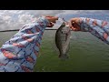 How to Find & Fish Summer Brush Piles | Locations, Sonar Images of Bass & Crappie