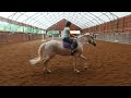 Fox Creek Farm - group lesson with Hailey - Amherst, NH