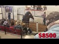 Buying an Auction HORSE ~ I really wanted this one!