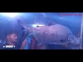 കടലിനടിയിലെ അത്ഭുതം കാണാം ആലപ്പുഴയിലേക്ക് വരൂ|Marine world aquarium||Siju Kalavarakkaran||