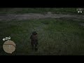 Skunk's Gone for a Tumble RDR2