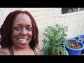 Container Gardening | Growing in 30+ Containers!