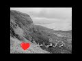 من كل قلبي أحبك يا بلادي يا يمن 🇾🇪🇾🇪🇾🇪🇾🇪لايك للفيديو